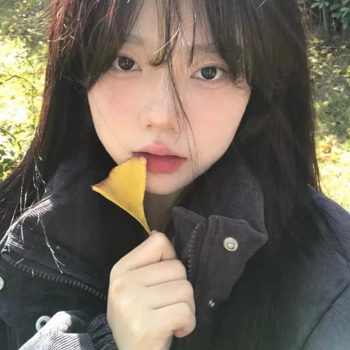 窗外窗